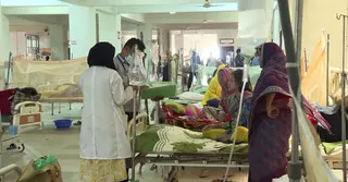 সতর্ক না হলে আরও ভয়াবহ রূপ নিতে পারে ডেঙ্গু!
